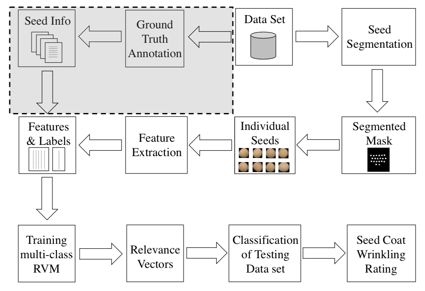 Automated Classification of Wrinkle Levels in Seed Coat Using Relevance Vector Machine