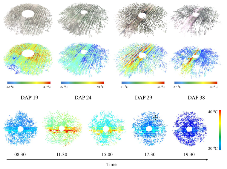 4D model of entire field over growing period