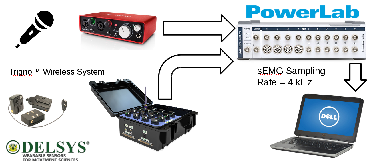 sEMG Delsys System