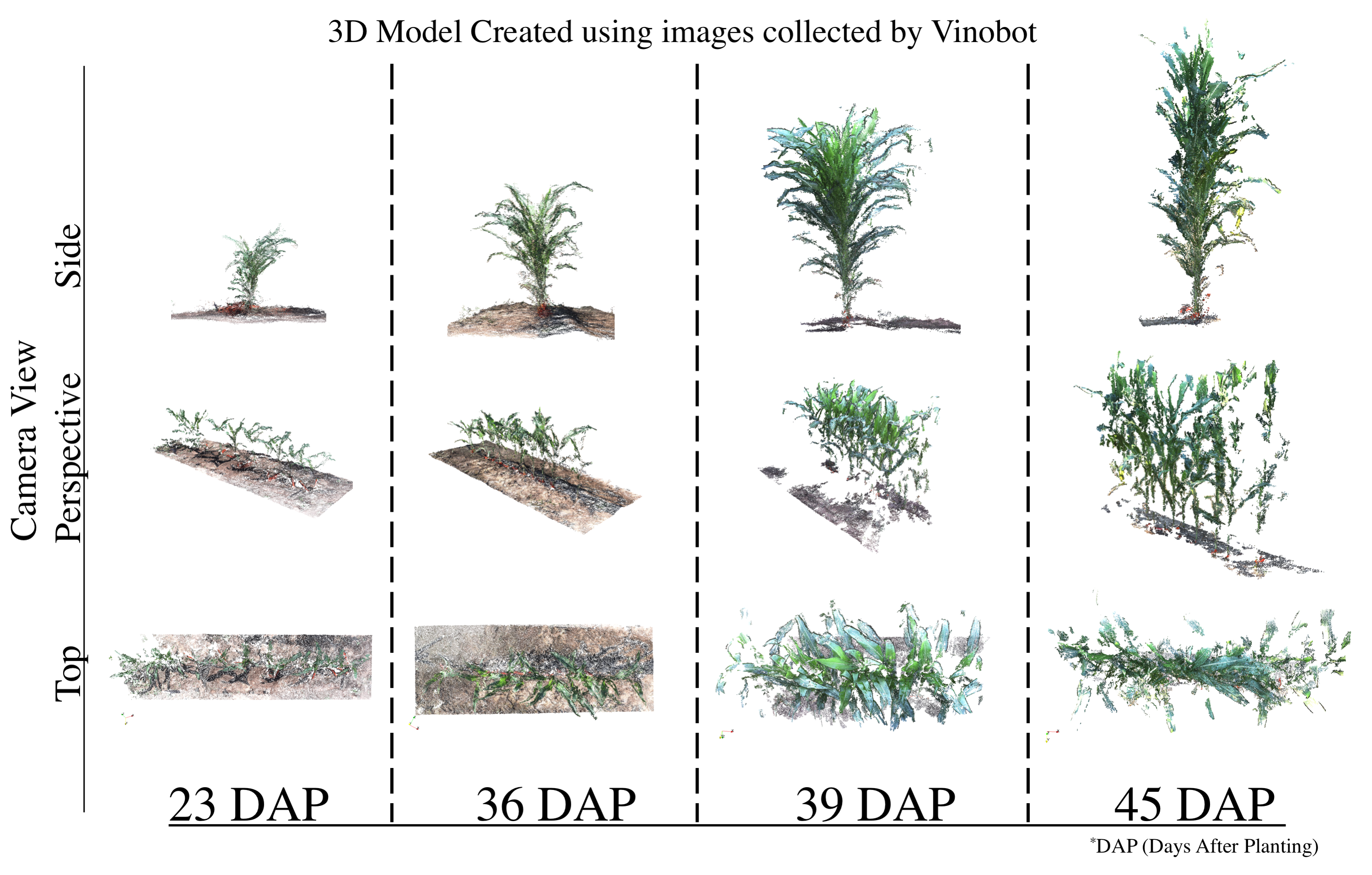 3D model of individual plants over growing period