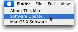 Software Update